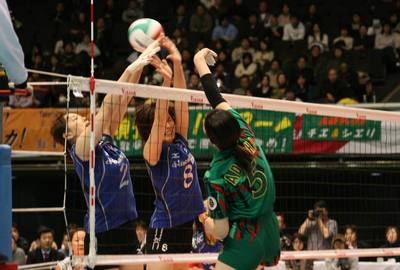 Bamboo0212_1.JPG