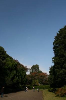 Koishikawa071117.JPG
